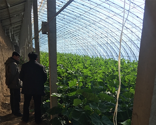 案例展示
