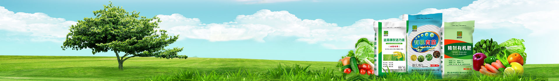 化肥BANNER2.jpg
